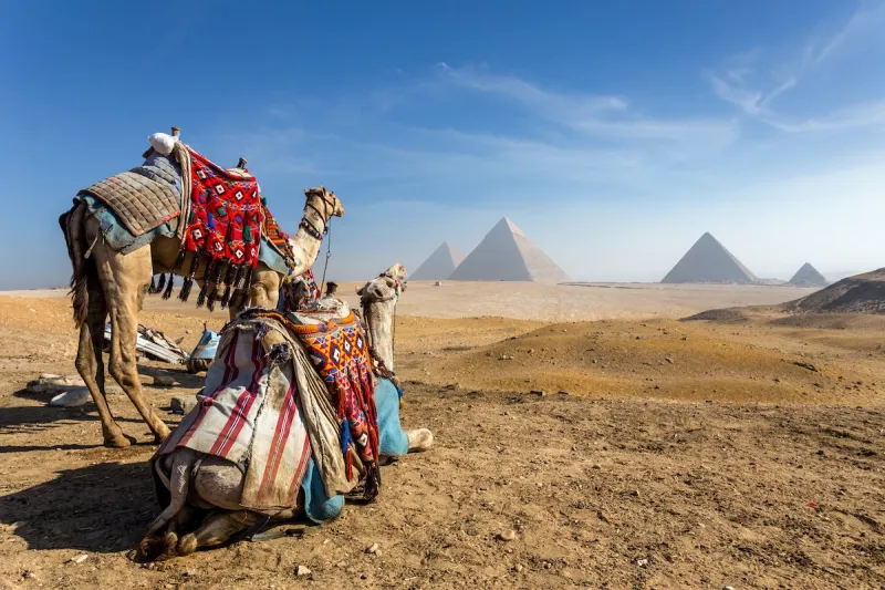 Egypt Tour Packages To The Red Sea And Giza Pyramids