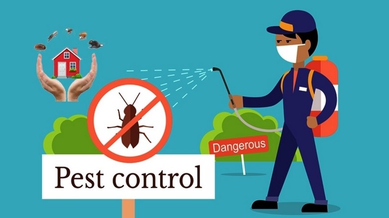 A Spray and Pest Control Company In The UAE