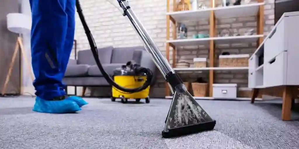 Choosing the Best Carpet Cleaning Products: What to Look For